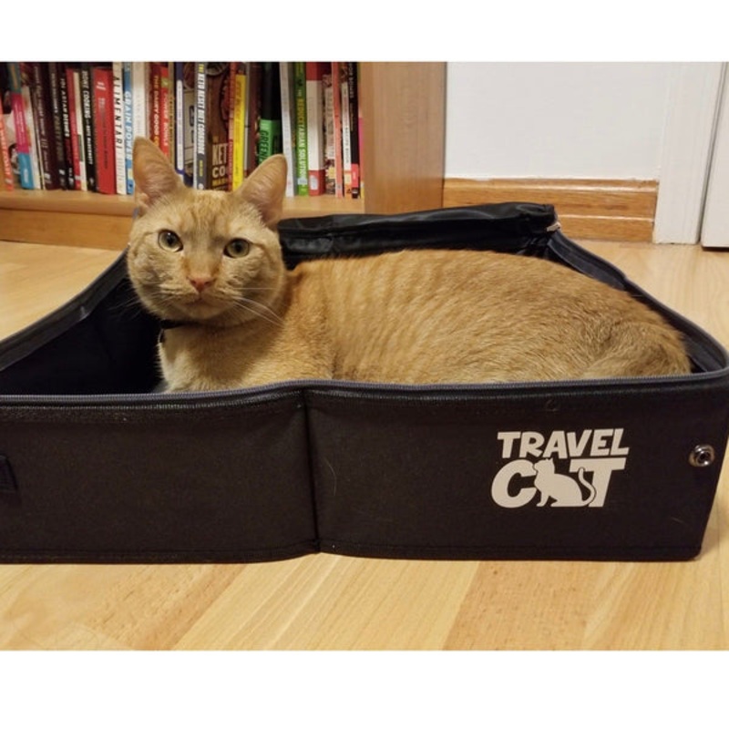 “The Porta-Pawty” Portable Folding Litter Box