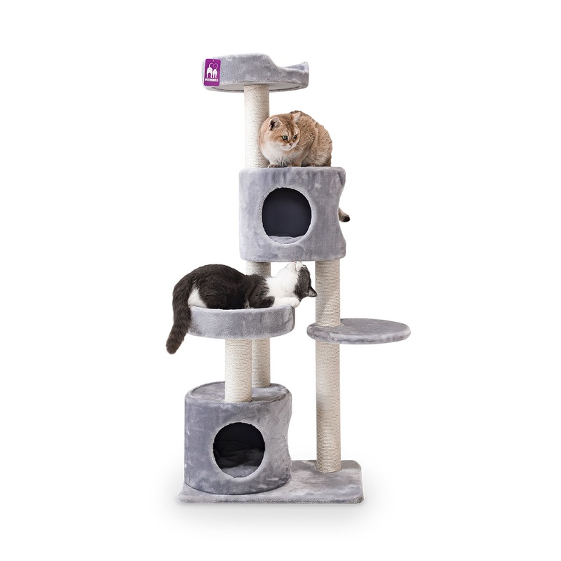 Cat Tree Residence 147