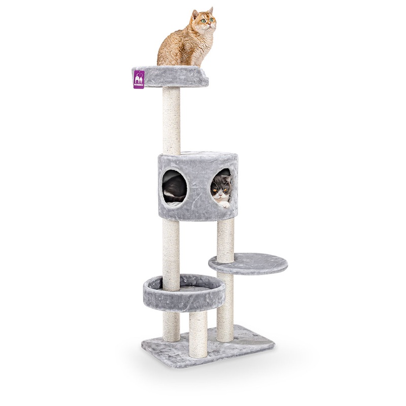 Cat Tree Residence 142