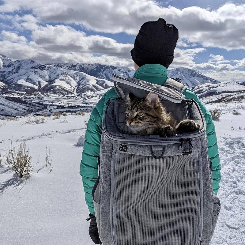 “The Navigator” Convertible Cat Backpack