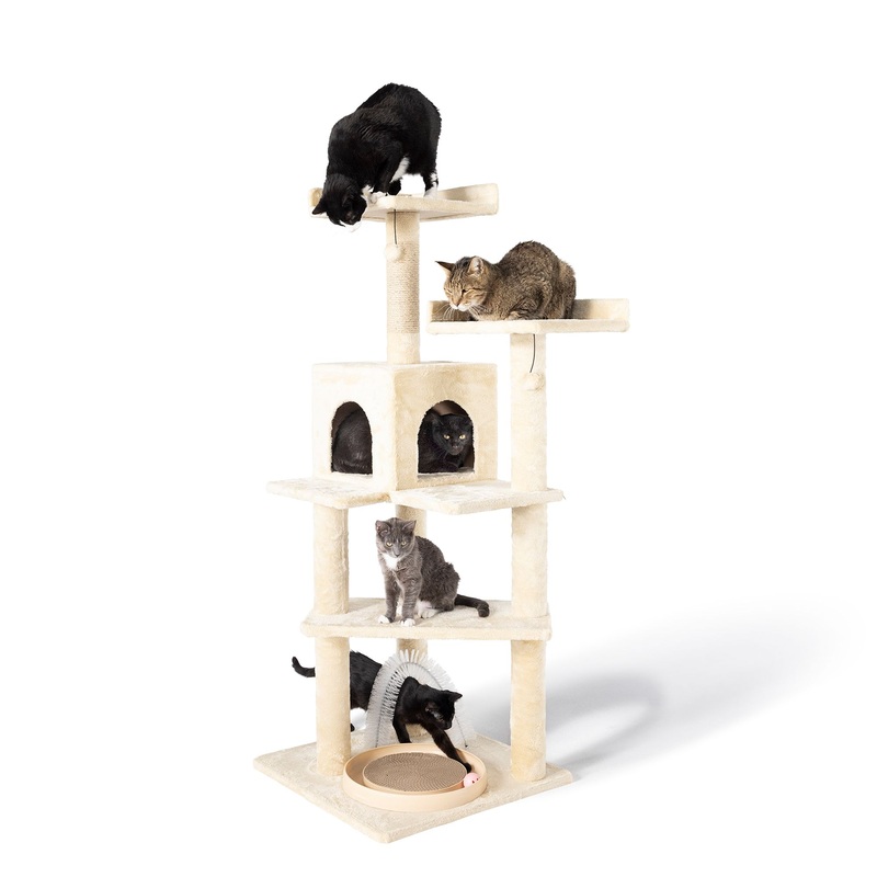 Whisker City 60-in Playbox, Ball Track with Scratcher Toys Cat Tree