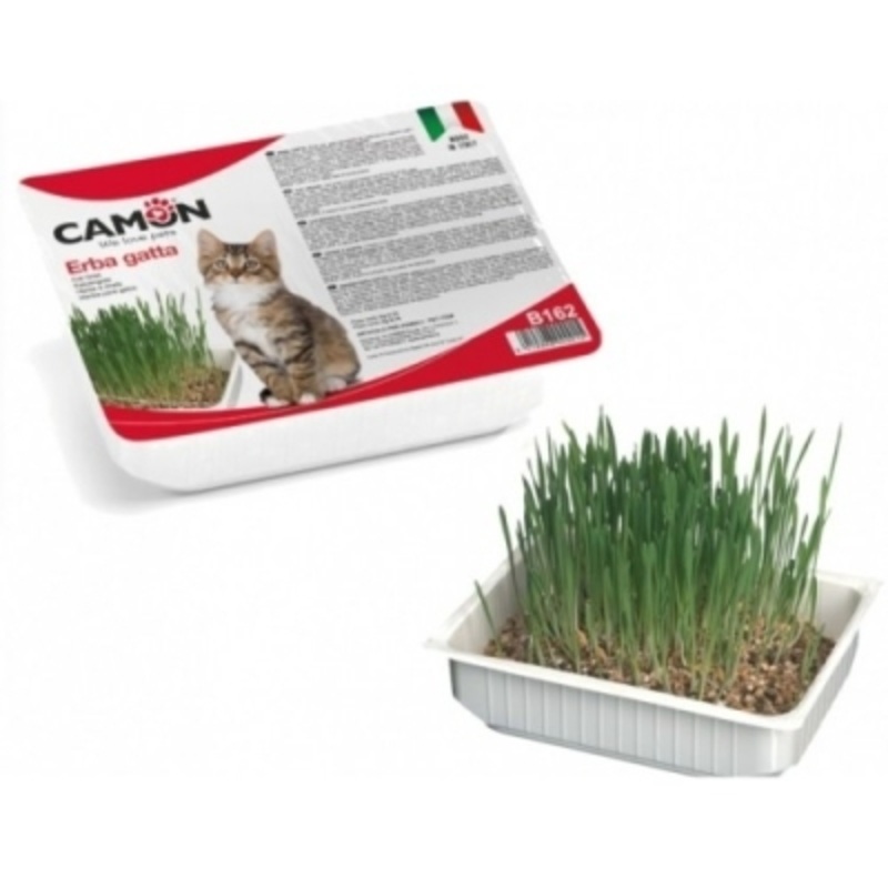 CAMON Cat grass with barley seeds, 100 g