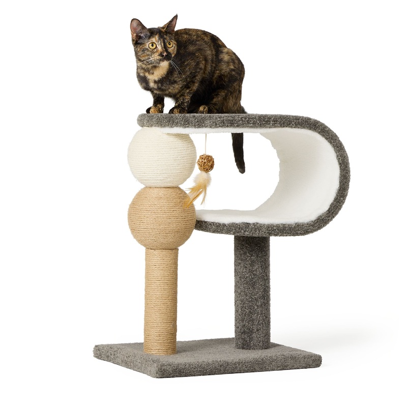 Whisker City Curved Scratcher & Perch