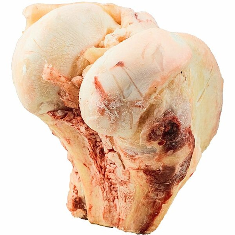 *In Store Only* K9 Choice Frozen – Buffalo Knuckle Bone