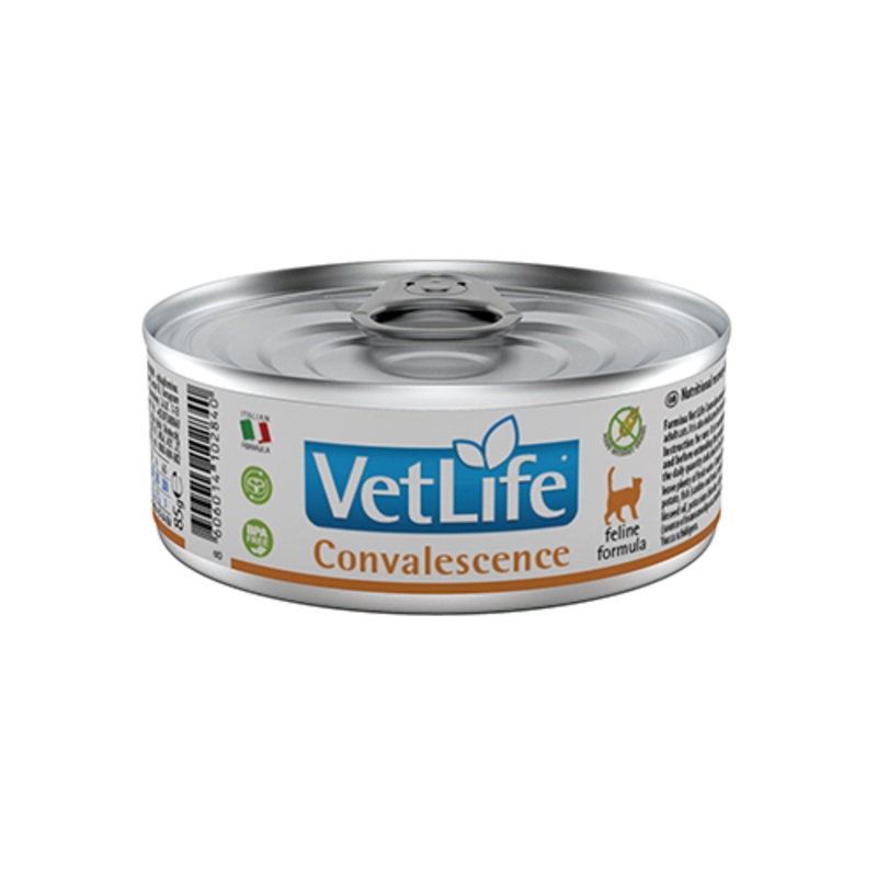 FARMINA VET LIFE FELINE CONVALESCENCE 300g