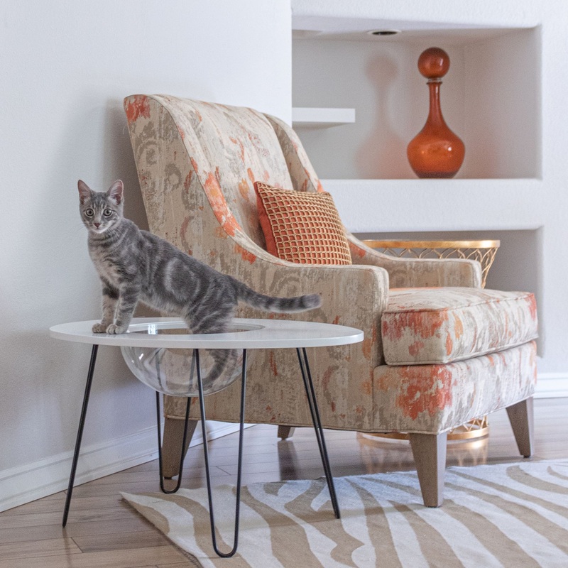 Hauspanther NestEgg Raised Cat Bed & Side Table