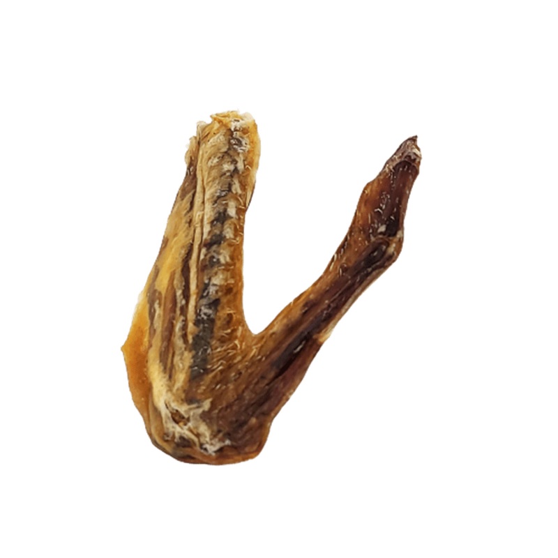 Aile de canard – Produit du Qubec