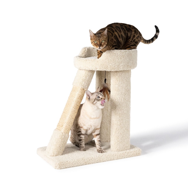 Whisker City 26-in Short Cat Tower with Ramp