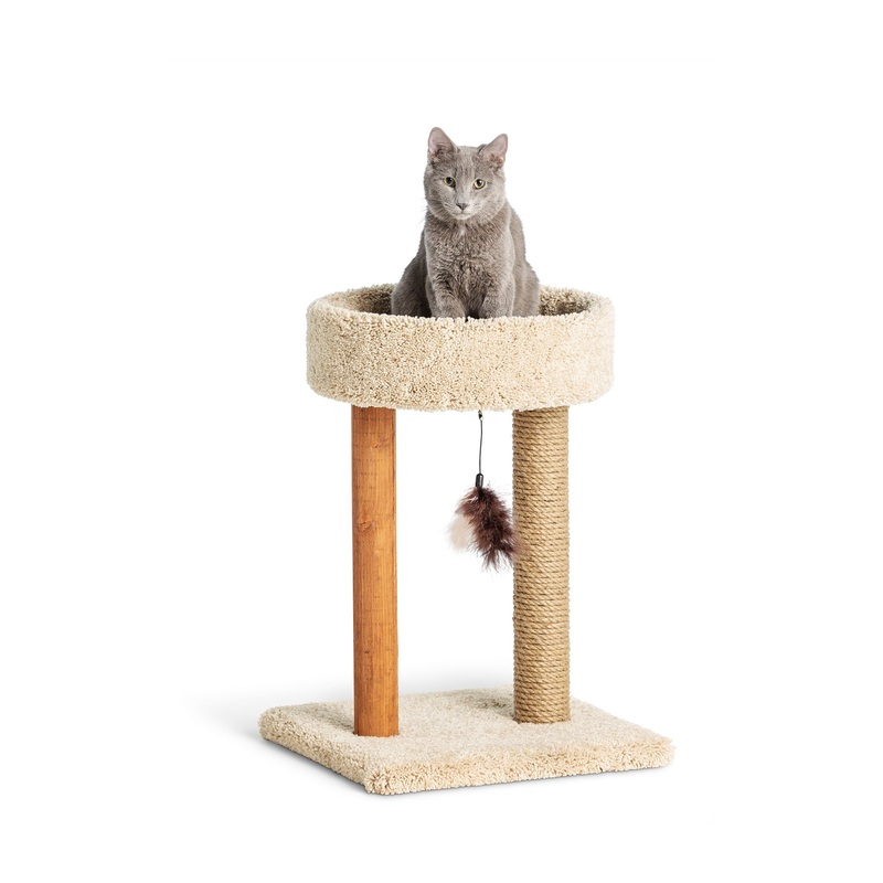 Whisker City 23-in Scratch & Play Two Posts Cuddler (COLOR VARIES)