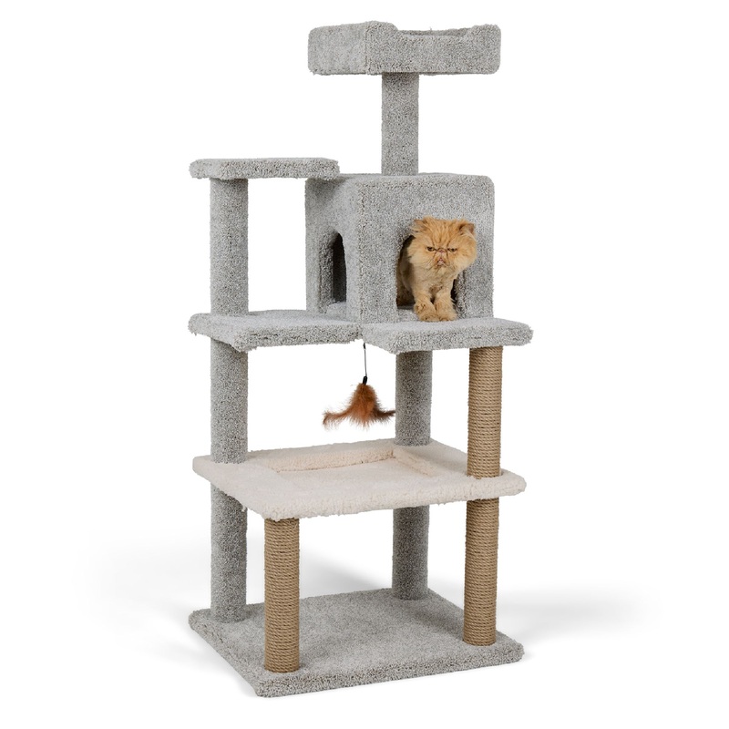 Whisker City Homey Hammock Haven