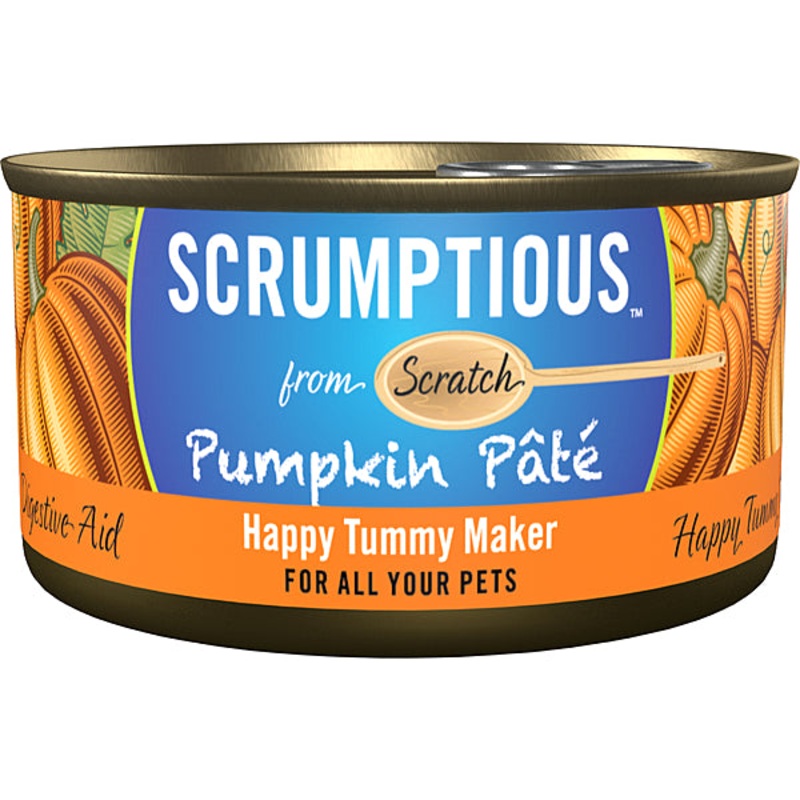 Scrumptious Pumpkin Pate 2.8OZ | Dog & Cat