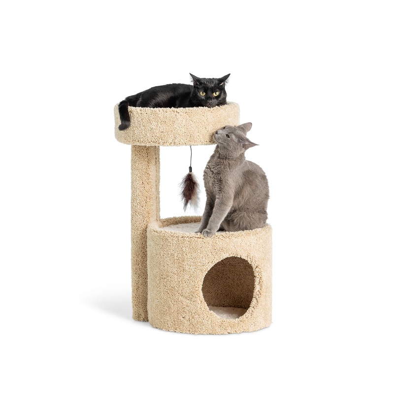 Whisker City 27-in Cat Condo (COLOR VARIES)