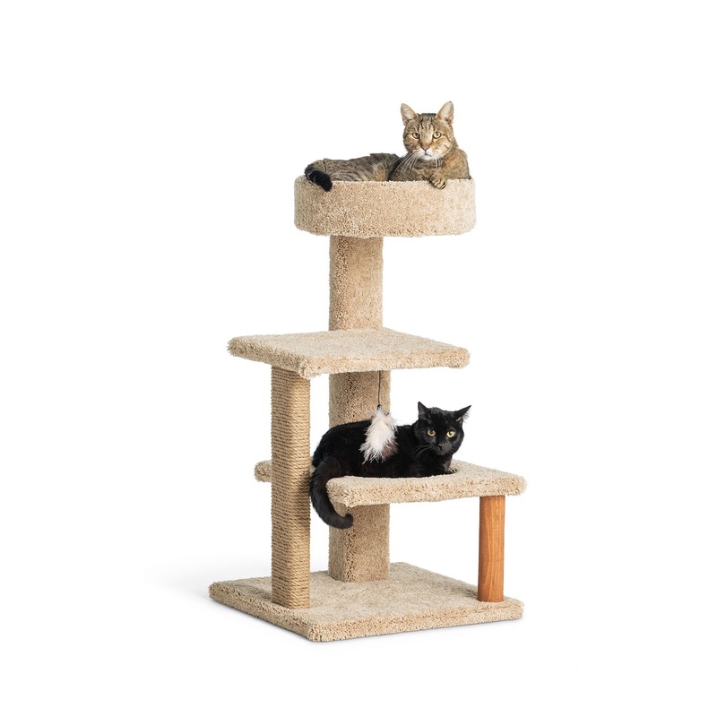 Whisker City 37-in Cozy Climber Cat Tower (COLOR VARIES)