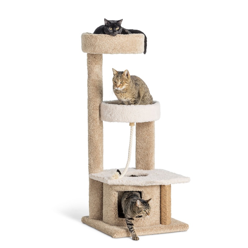 Whisker City 48-in Cozy Climber Cat Tower (COLOR VARIES)